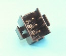 amp apple male